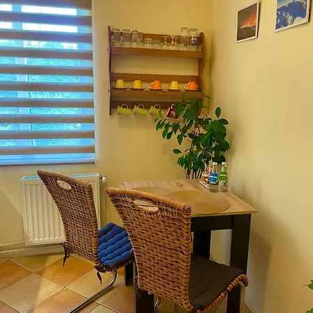 Pola Daire Jelenia Gora